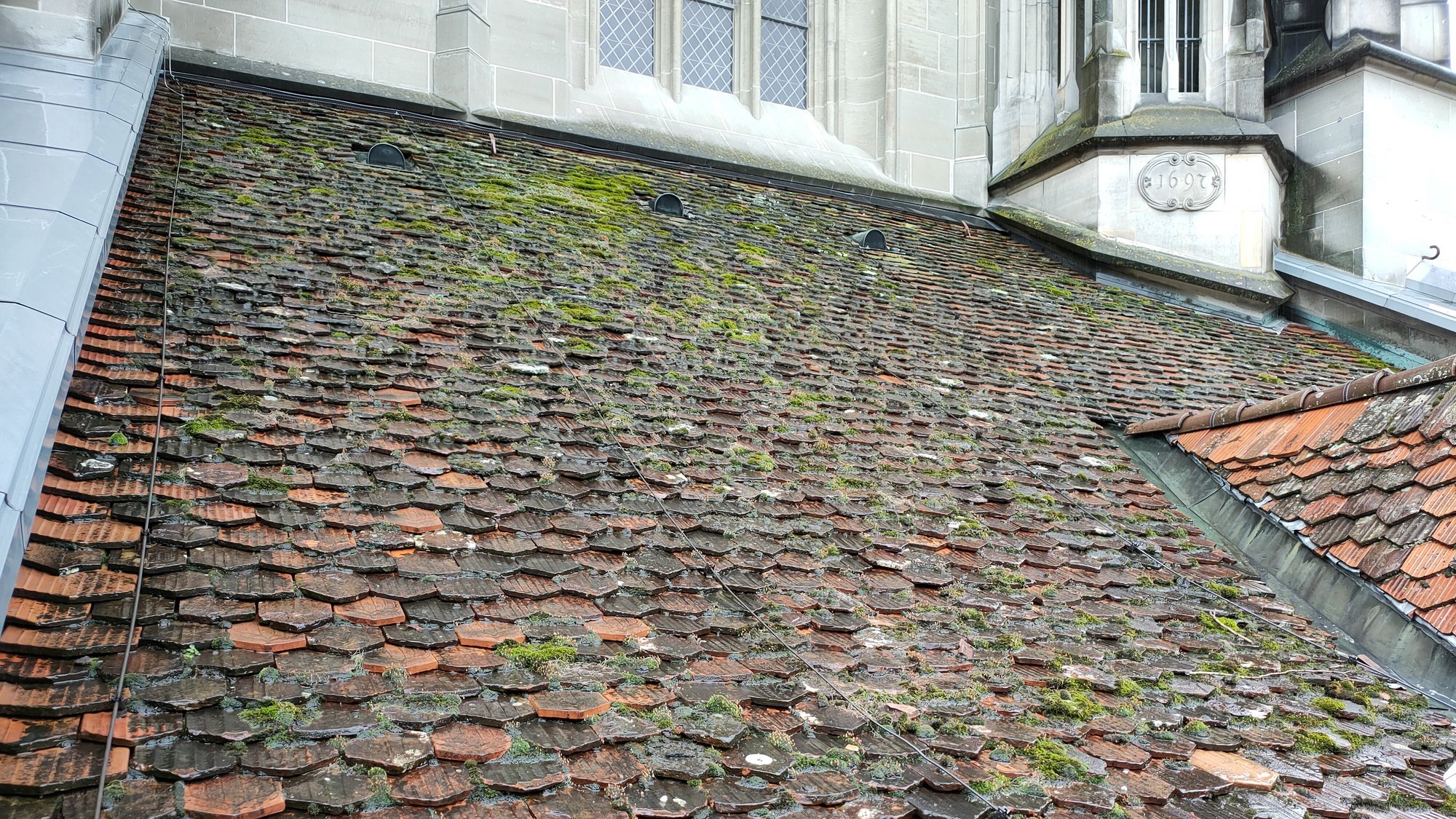 Dach mit Moosbewuchs am Berner Münster