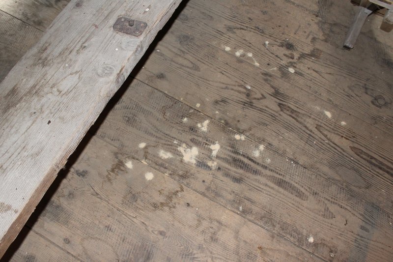 Durch Holzschädlinge verursachte Sägemehlhaufen auf Holzbalken in der Absinth-Trocknerei von Boveresse.